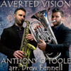 AVERTED VISION - Anthony O'Toole ed. Drew Fennell