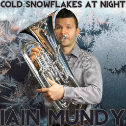 COLD SNOWFLAKES AT NIGHT - Iain Mundy