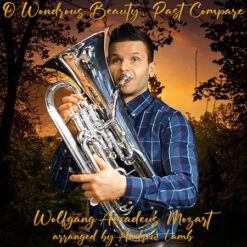 O WONDROUS BEAUTY, PAST COMPARE | DIES BILDNIS IST BEZAUBERND SCHÖN (Solo) - Wolfgang Amadeus Mozart arr. Andrew Lamb ed. Drew Fennell